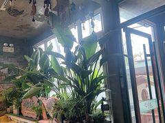 -慢丽江·云南野生菌土鸡锅(西山店)