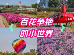 -花博汇(知音花月夜)