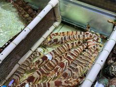 -强记海鲜·大排档(蛇口新街店)