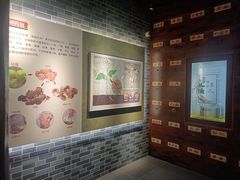 -乐山市博物馆