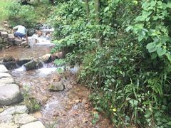 -仙霞关景区