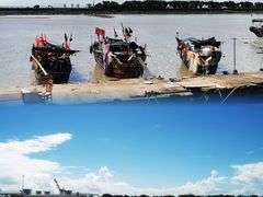 -大湾区中央湿地公园-十九涌