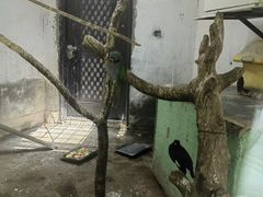 -青藏高原野生动物园