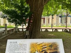 -北京石刻艺术博物馆(五塔寺)
