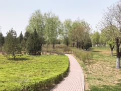 -洨河生态公园