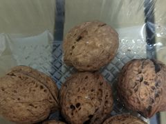 -泉州海丝野生动物世界