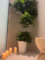 -悦色嘉丽科技美肤健康管理