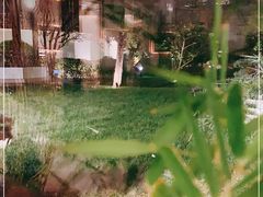 -九献创意菜·牛排馆(亮马河花园店)