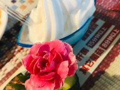 -慢丽江·云南野生菌土鸡锅(付家庄店)