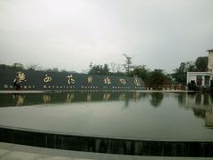 -广西壮族自治区药用植物园