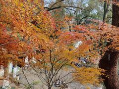 -岳麓山风景名胜区