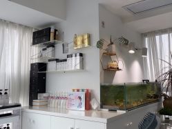 点击看大图 -艺海造型