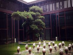 金茂凯悦酒店-上海崇明金茂凯悦酒店