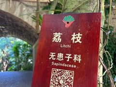 -亚龙湾热带天堂森林公园