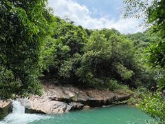 -广州白江湖森林公园