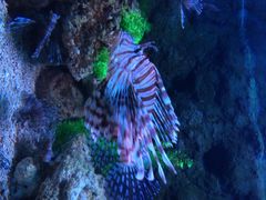 郑州海洋馆-郑州海洋馆