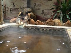 -广东省拱北口岸中国旅行社(华宾营业部)