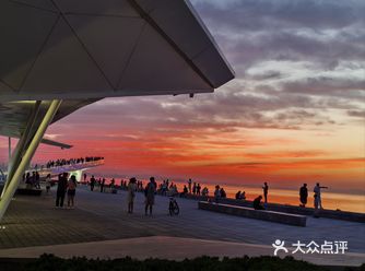 前几天跟朋友去了一家海边的咖啡店，真的太棒了！