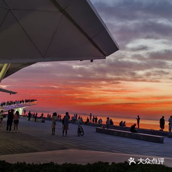 前几天跟朋友去了一家海边的咖啡店，真的太棒了！