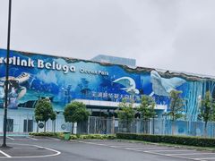 -芜湖新华联大白鲸海洋公园