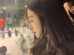 -大连圣亚海洋世界