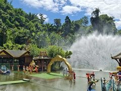-西双版纳原始森林公园