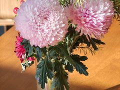 -昆山城市生态森林公园