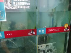 -鱼酷活鱼烤鱼(北美店)