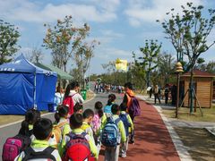 -上海长兴岛郊野公园