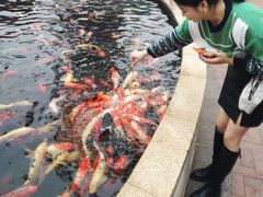 -国色天乡三期陆地乐园