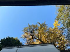 -蒋氏故居