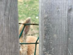 -扬州天乐湖嬉乐谷