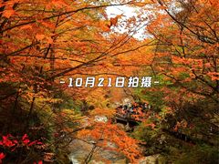 -光雾山旅游景区