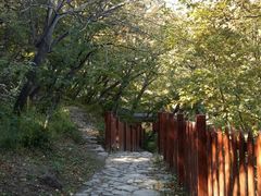 -阳台山自然风景区