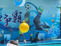 -荆州中山公园动物园