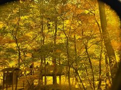 -关门山森林公园