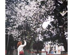 -黄桷坪涂鸦艺术街