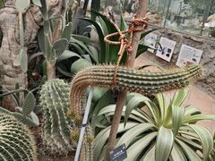 -国家植物园南园