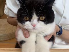 -Catmate·猫肥家润(金润铂宫店)