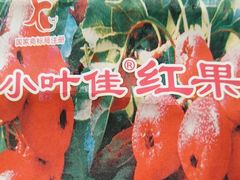 -小叶佳栗子(昌平店)