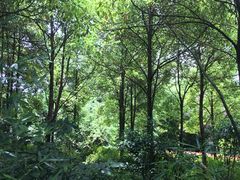 -贵阳市花溪国家城市湿地公园