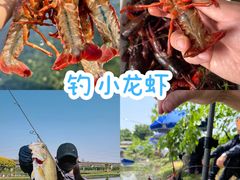 -栖露营camping·天幕烧烤·团建拓展·采摘营地
