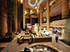 -成都保利公园皇冠假日酒店(熊猫基地店)