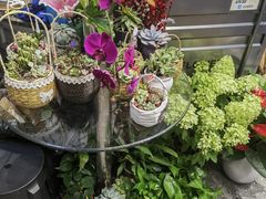 -FEI FEI FLOWER鲜花店·气球派对·宝宝宴布置(虹口德必运动Loft店)
