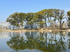 -上海植物园-4号门售票处