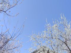 -三里河公园