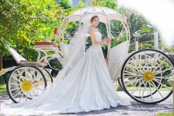 -金夫人婚纱摄影(华南店)