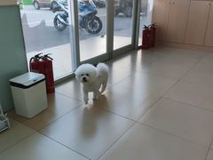 -美迦爱-牙专科·兔科·骨科诊疗中心(北苑店)