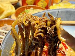 -阳阳老火锅(小南门店)