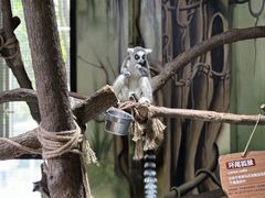 -海合安武汉极地海洋公园